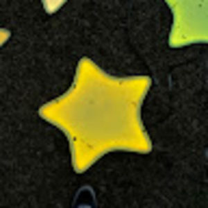 Meet your Posher, Pizzq